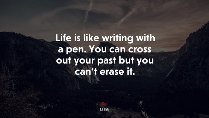Life is like writing with a pen. You can cross out your past but you can’t erase it. | E.B. White quote