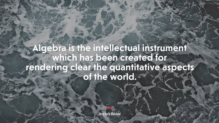 Algebra is the intellectual instrument which has been created for rendering clear the quantitative aspects of the world. | Alfred North Whitehead quote