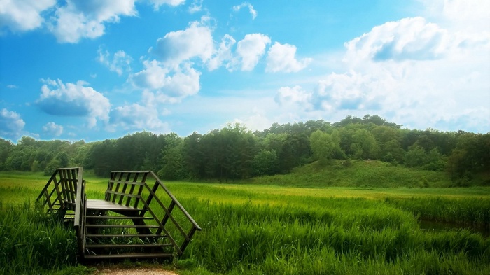 Wooden bridge over a grassy field with trees and clouds