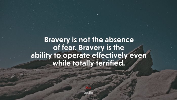 Bravery is not the absence of fear. Bravery is the ability to operate effectively even while totally terrified. | Stuart Wilde quote