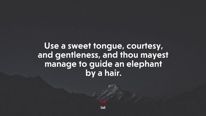 Use a sweet tongue, courtesy, and gentleness, and thou mayest manage to guide an elephant by a hair. | Saadi quote