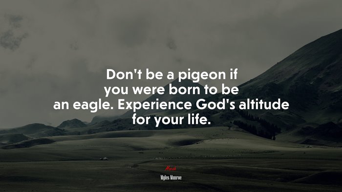 Don’t be a pigeon if you were born to be an eagle. Experience God’s altitude for your life. | Myles Munroe quote