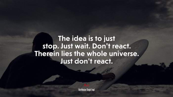 The idea is to just stop. Just wait. Don’t react. Therein lies the whole universe. Just don’t react. | Harbhajan Singh Yogi quote