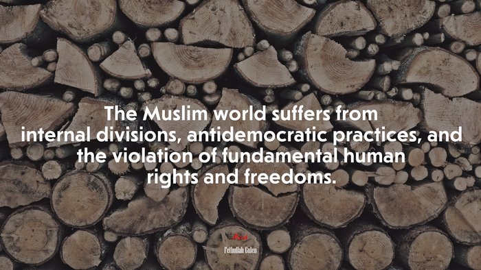 The Muslim world suffers from internal divisions, antidemocratic practices, and the violation of fundamental human rights and freedoms. | Fethullah Gulen quote