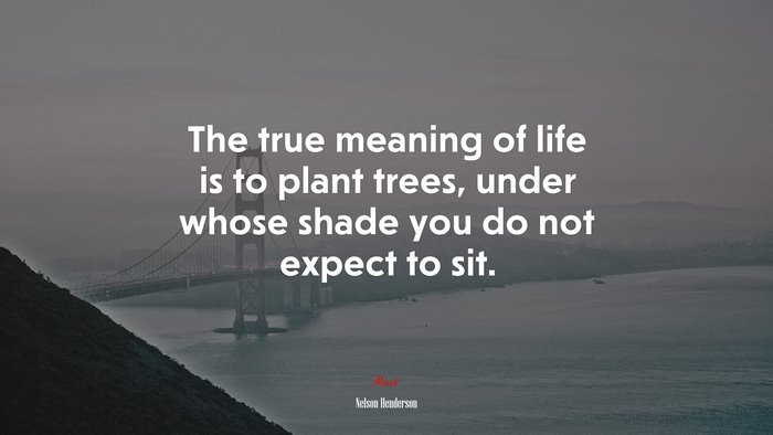 The true meaning of life is to plant trees, under whose shade you do not expect to sit. | Nelson Henderson quote
