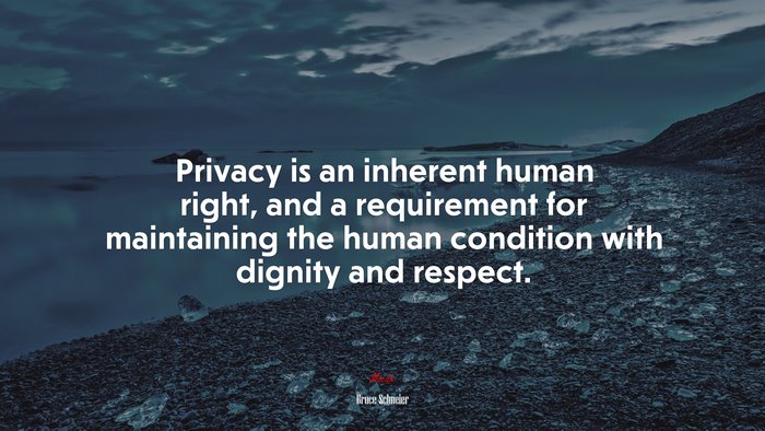 Privacy is an inherent human right, and a requirement for maintaining the human condition with dignity and respect. | Bruce Schneier quote