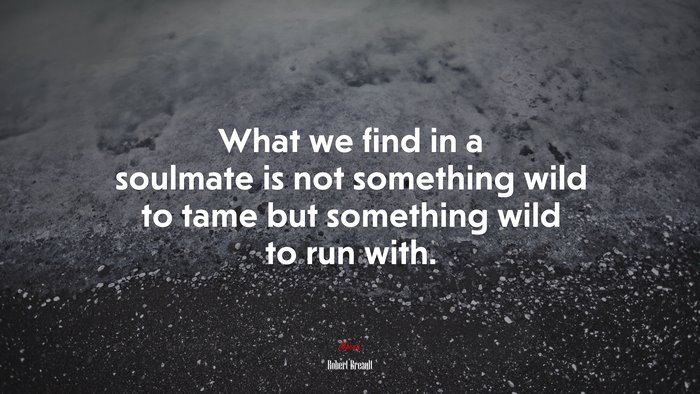 What we find in a soulmate is not something wild to tame but something wild to run with. | Robert Breault quote