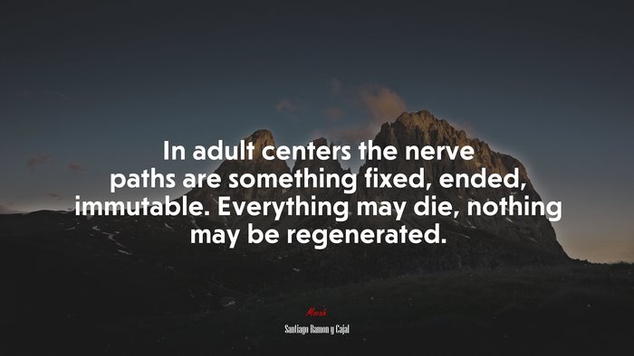 In adult centers the nerve paths are something fixed, ended, immutable. Everything may die, nothing may be regenerated. | Santiago Ramón y Cajal quote