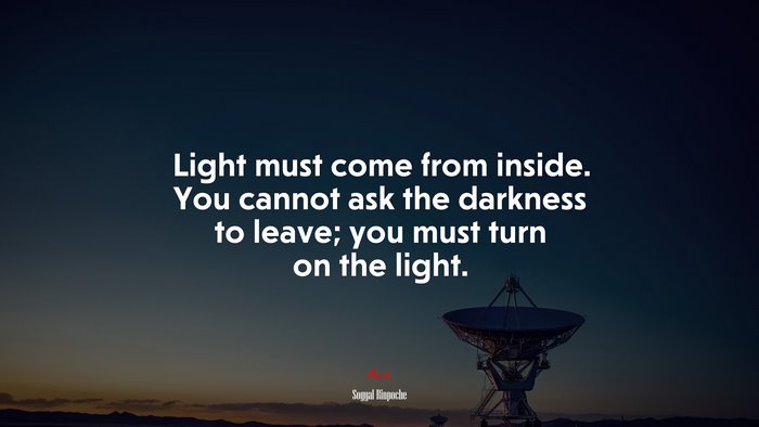 Light must come from inside. You cannot ask the darkness to leave; you must turn on the light. | Sogyal Rinpoche quote