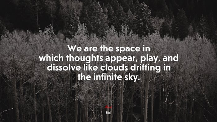 We are the space in which thoughts appear, play, and dissolve like clouds drifting in the infinite sky. | Mooji quote