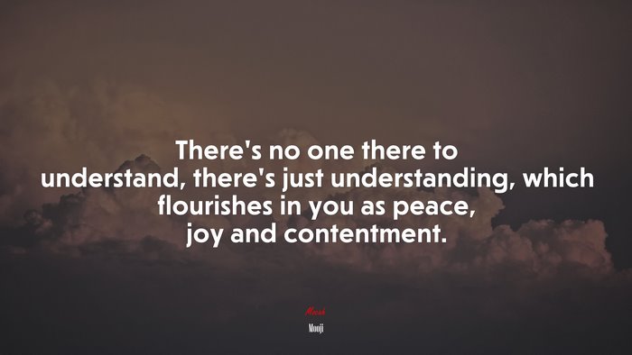 There’s no one there to understand, there’s just understanding, which flourishes in you as peace, joy and contentment. | Mooji quote