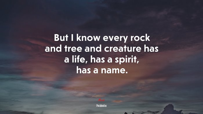 But I know every rock and tree and creature has a life, has a spirit, has a name. | Pocahontas quote