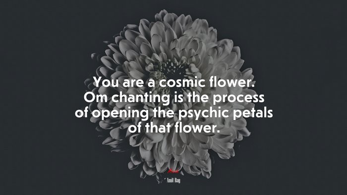 You are a cosmic flower. Om chanting is the process of opening the psychic petals of that flower. | Amit Ray quote