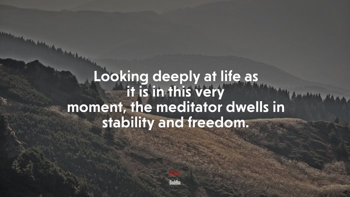Looking deeply at life as it is in this very moment, the meditator dwells in stability and freedom. | Buddha quote