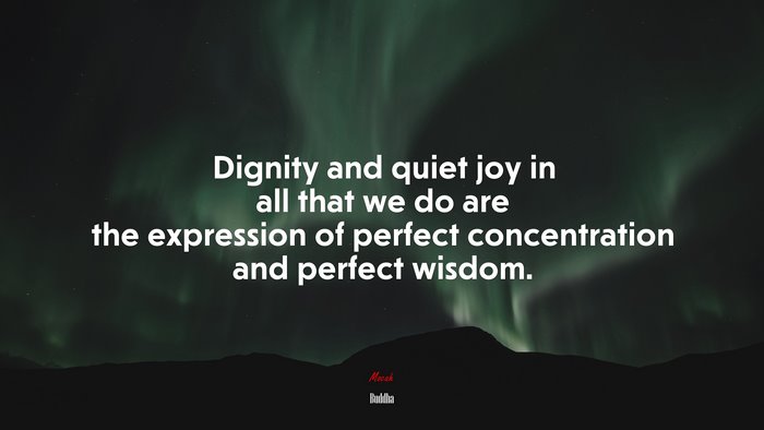 Dignity and quiet joy in all that we do are the expression of perfect concentration and perfect wisdom. | Buddha quote
