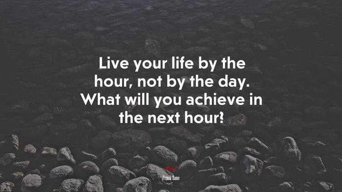 Live your life by the hour, not by the day. What will you achieve in the next hour? | Frank Zane quote