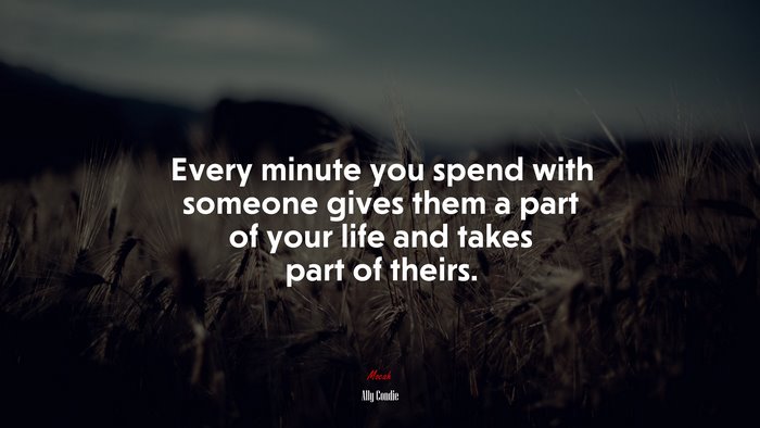 Every minute you spend with someone gives them a part of your life and takes part of theirs. | Ally Condie quote