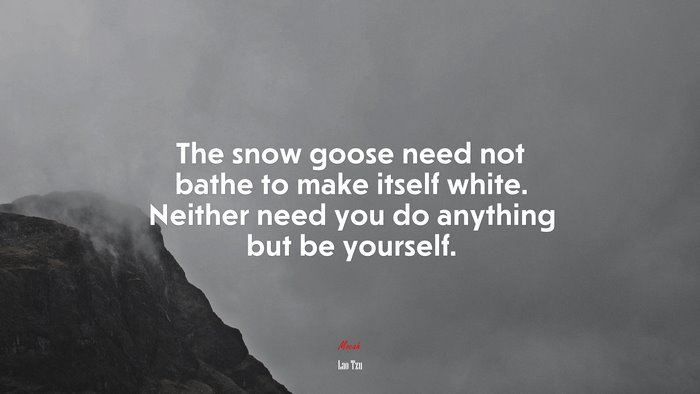 The snow goose need not bathe to make itself white. Neither need you do anything but be yourself. | Lao Tzu quote