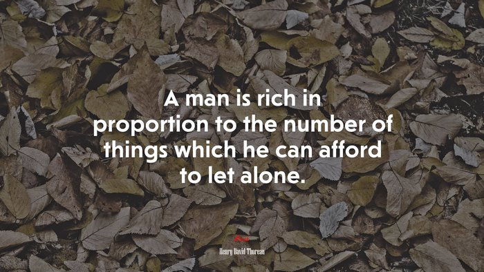 A man is rich in proportion to the number of things which he can afford to let alone. | Henry David Thoreau quote