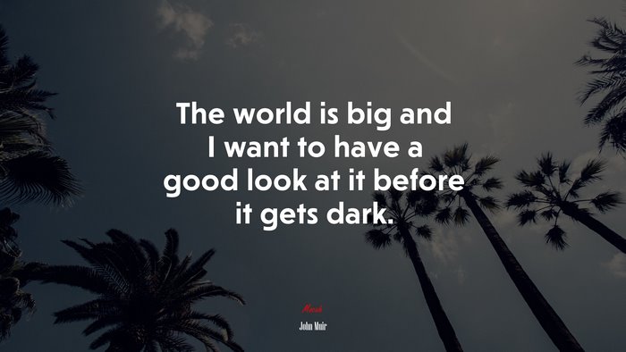 The world is big and I want to have a good look at it before it gets dark. | John Muir quote