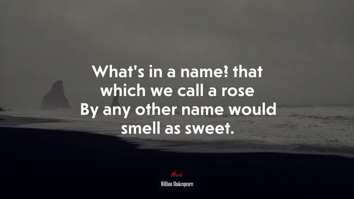 What’s in a name? that which we call a rose By any other name would smell as sweet. | William Shakespeare quote