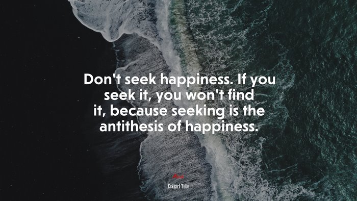 Don’t seek happiness. If you seek it, you won’t find it, because seeking is the antithesis of happiness. | Eckhart Tolle quote