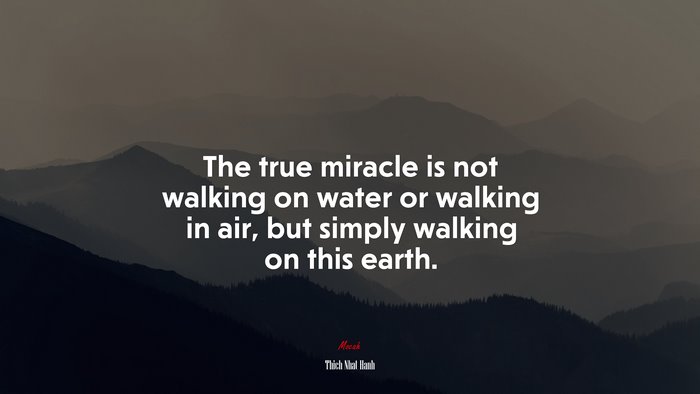 The true miracle is not walking on water or walking in air, but simply walking on this earth. | Thich Nhat Hanh quote