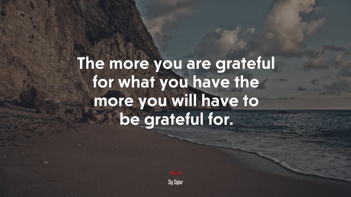 The more you are grateful for what you have the more you will have to be grateful for. | Zig Ziglar quote