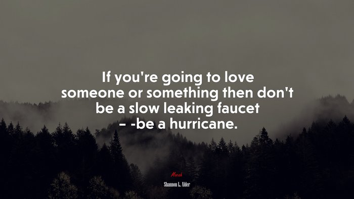 If you’re going to love someone or something then don’t be a slow leaking faucet – -be a hurricane. | Shannon L. Alder quote