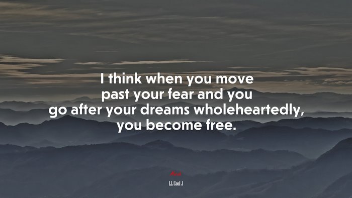 I think when you move past your fear and you go after your dreams wholeheartedly, you become free. | LL Cool J quote