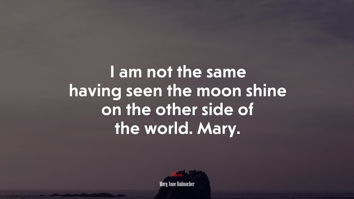 I am not the same having seen the moon shine on the other side of the world. Mary. | Mary Anne Radmacher quote