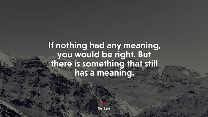 If nothing had any meaning, you would be right. But there is something that still has a meaning. | Albert Camus quote