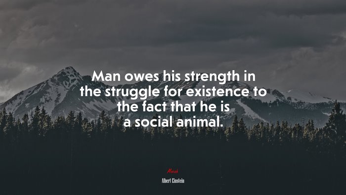 Man owes his strength in the struggle for existence to the fact that he is a social animal. | Albert Einstein quote