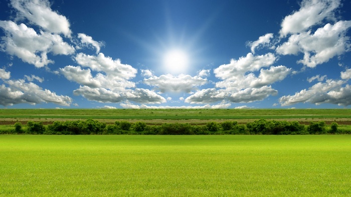 Sunny day over green fields and blue sky