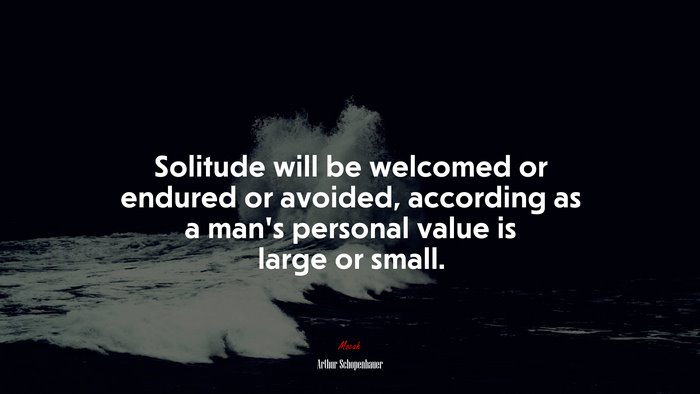 Solitude will be welcomed or endured or avoided, according as a man’s personal value is large or small. | Arthur Schopenhauer quote