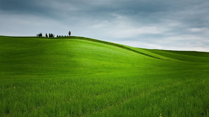Rolling green hills under a cloudy sky