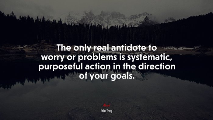 The only real antidote to worry or problems is systematic, purposeful action in the direction of your goals. | Brian Tracy quote