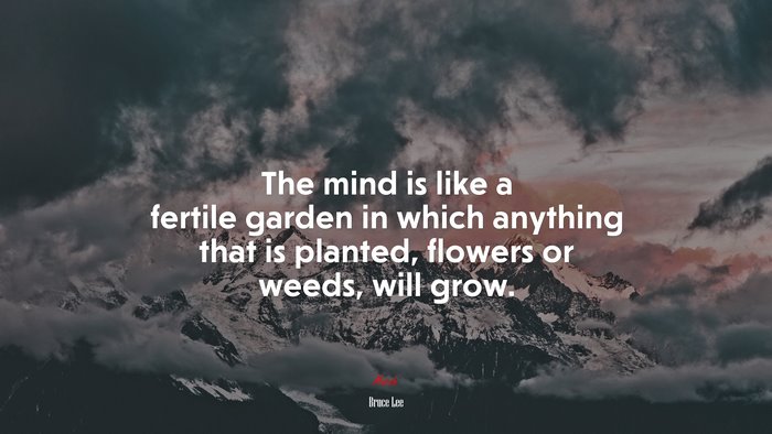 The mind is like a fertile garden in which anything that is planted, flowers or weeds, will grow. | Bruce Lee quote