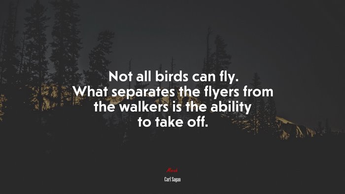 Not all birds can fly. What separates the flyers from the walkers is the ability to take off. | Carl Sagan quote