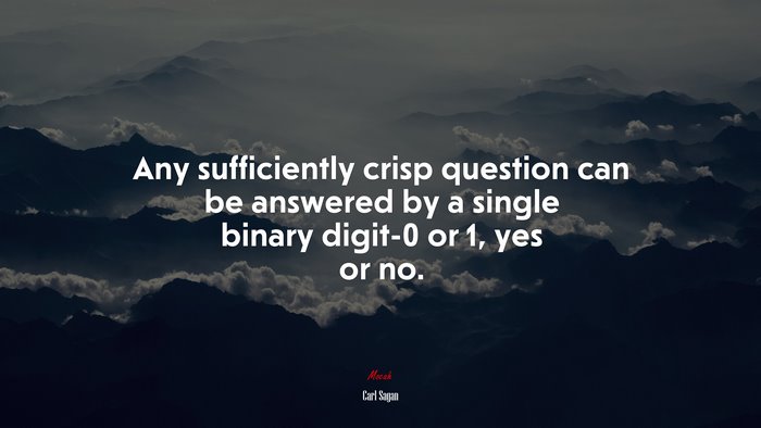 Any sufficiently crisp question can be answered by a single binary digit-0 or 1, yes or no. | Carl Sagan quote