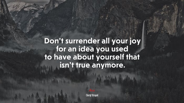 Don’t surrender all your joy for an idea you used to have about yourself that isn’t true anymore. | Cheryl Strayed quote