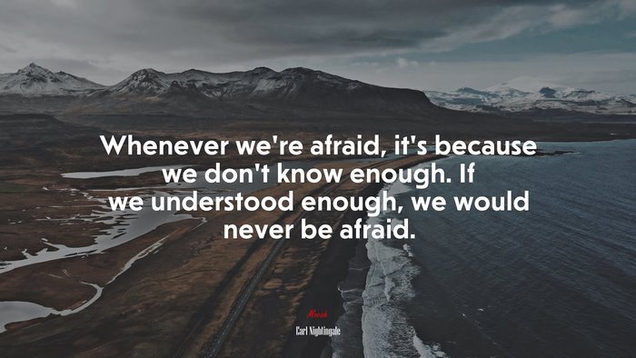 Whenever we’re afraid, it’s because we don’t know enough. If we understood enough, we would never be afraid. | Earl Nightingale quote
