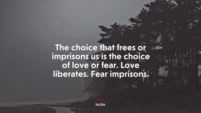 The choice that frees or imprisons us is the choice of love or fear. Love liberates. Fear imprisons. | Gary Zukav quote