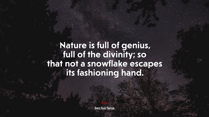 Nature is full of genius, full of the divinity; so that not a snowflake escapes its fashioning hand. | Henry David Thoreau quote