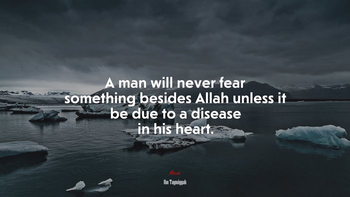 A man will never fear something besides Allah unless it be due to a disease in his heart. | Ibn Taymiyyah quote