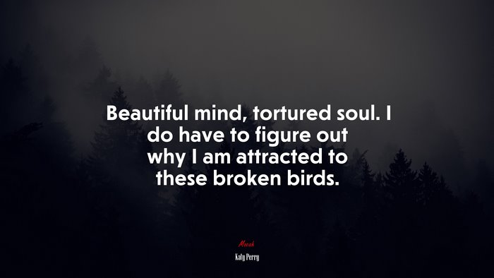 Beautiful mind, tortured soul. I do have to figure out why I am attracted to these broken birds. | Katy Perry quote