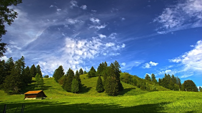Wooden cabin on a grassy hill with trees and clouds