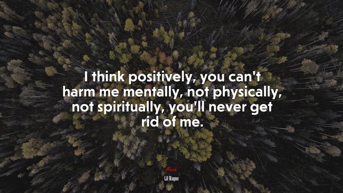 I think positively, you can’t harm me mentally, not physically, not spiritually, you’ll never get rid of me. | Lil Wayne quote