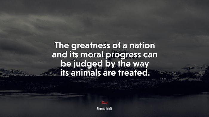 The greatness of a nation and its moral progress can be judged by the way its animals are treated. | Mahatma Gandhi quote
