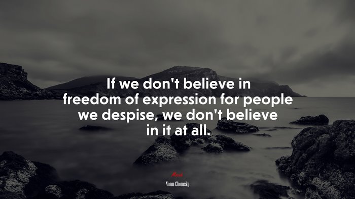 If we don’t believe in freedom of expression for people we despise, we don’t believe in it at all. | Noam Chomsky quote